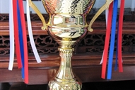 2013���Ӱ푏V���ķ��خa(ch��n)Ʒ����I(y��)